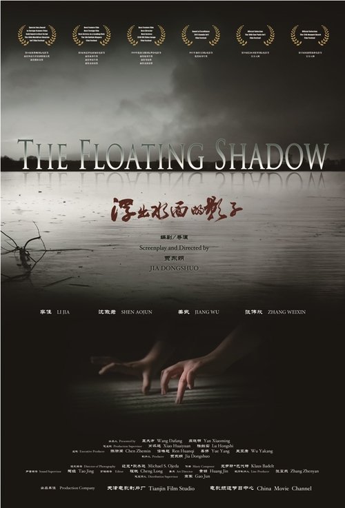 The Floating Shadow movie poster