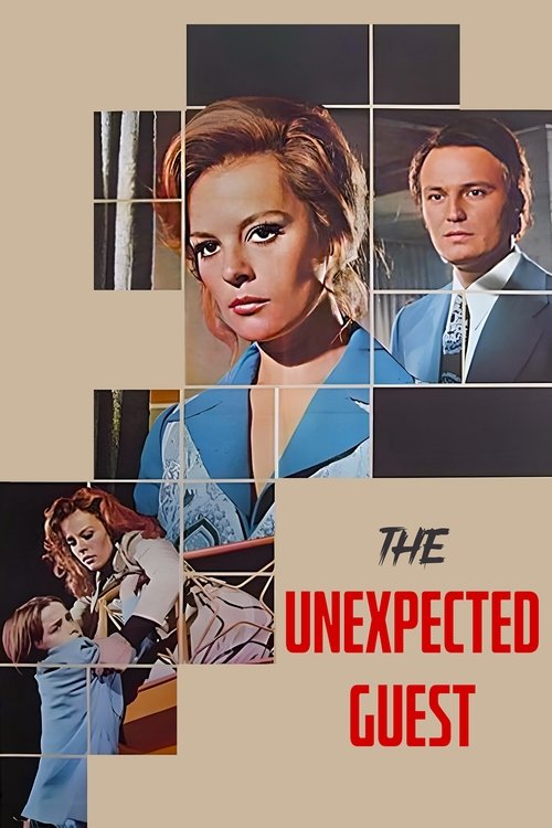 Tanrı Misafiri movie poster