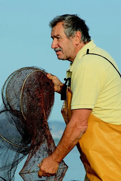 Franco Lupo profile picture