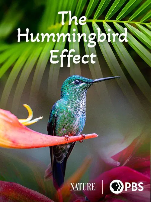 The Hummingbird Effect movie poster