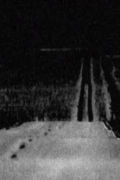 Carte noire movie poster