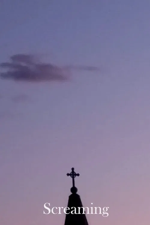 It Doesn't Flash Before You movie poster