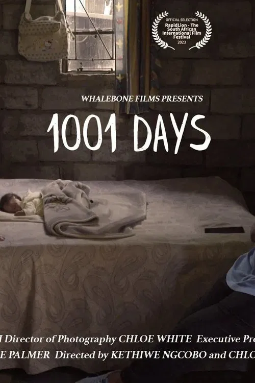 1001 Days movie poster