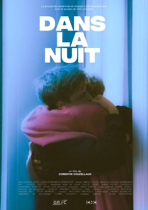 Into the Night movie poster