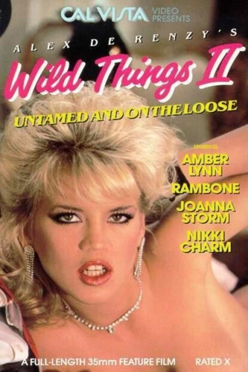 Poster do filme Wild Things 2