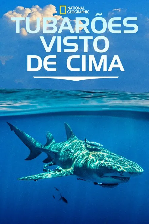 Poster do filme Tubarões Visto de Cima