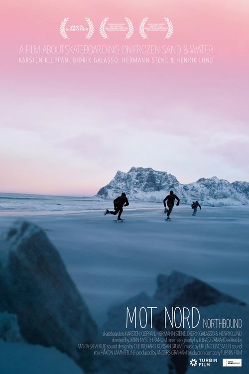 Northbound: Skateboarding on Frozen Sand movie poster