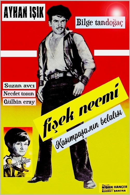 Fişek Necmi movie poster