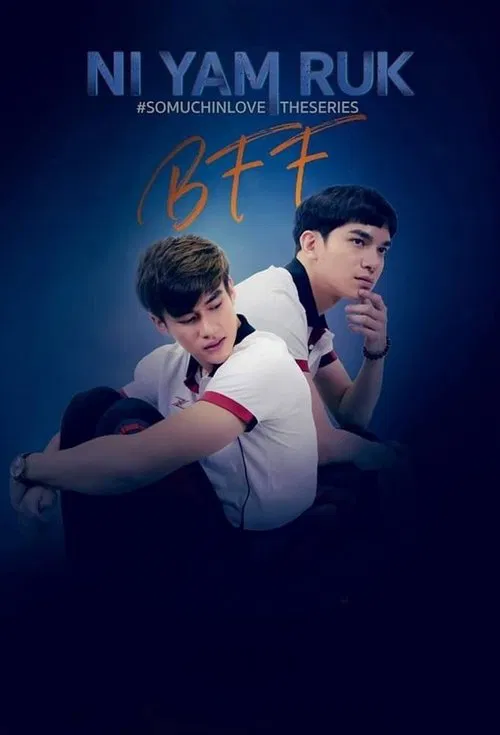 So Much In Love tv show poster