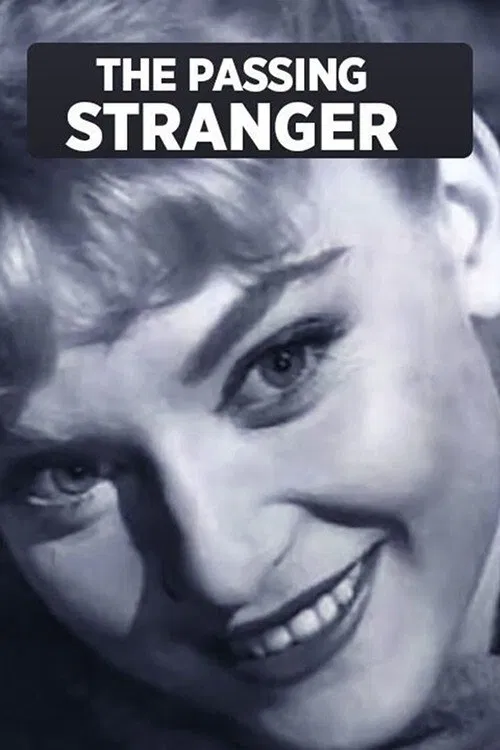 The Passing Stranger movie poster
