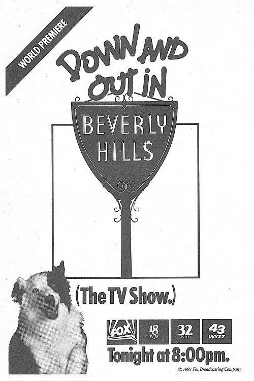 Down and Out in Beverly Hills tv show poster