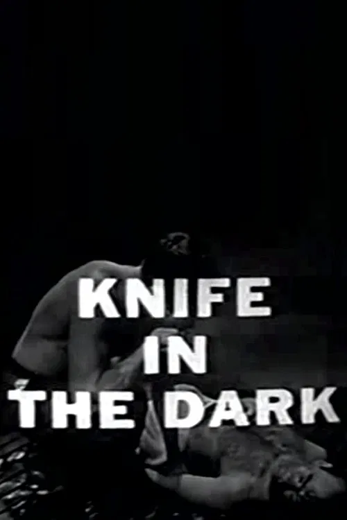 Knife in the Dark movie poster