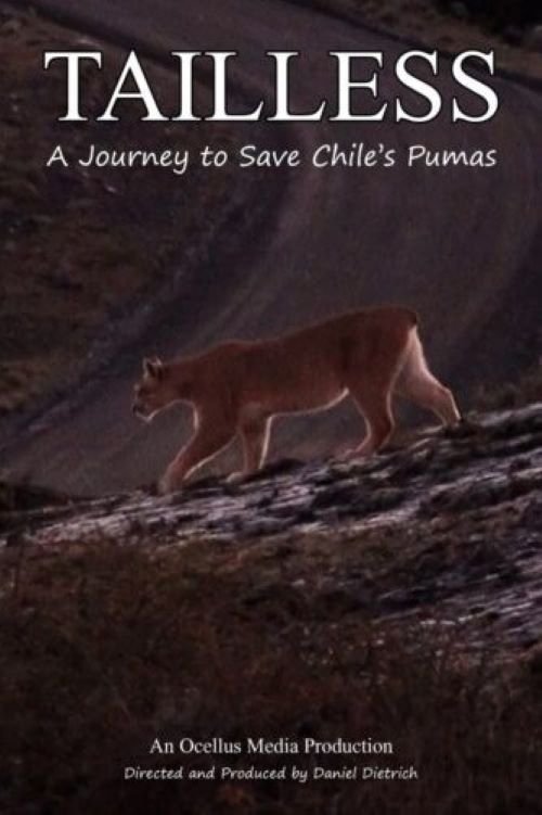 Tailless movie poster