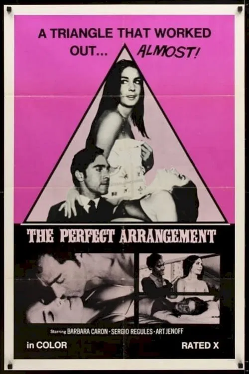 Poster do filme The Perfect Arrangement