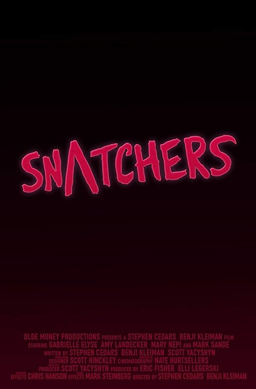 Snatchers movie poster