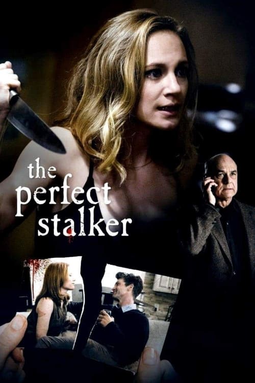 Poster do filme The Perfect Stalker