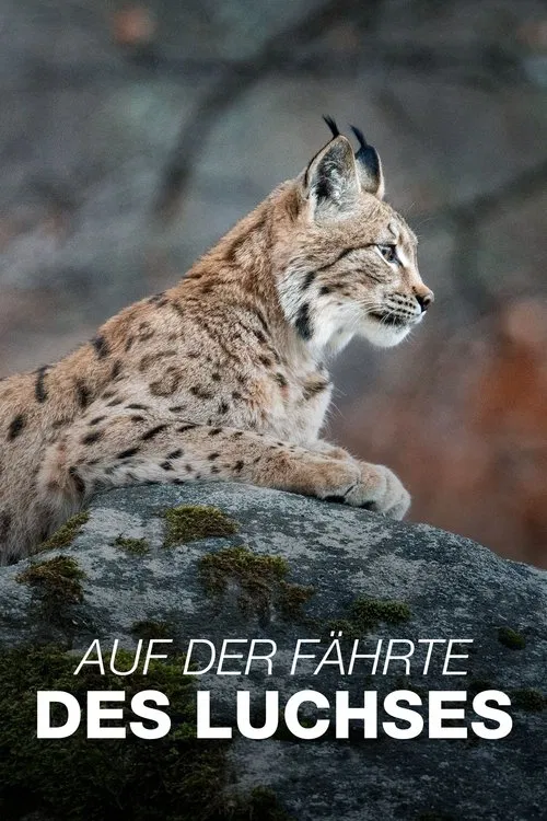 Sur la piste du lynx movie poster