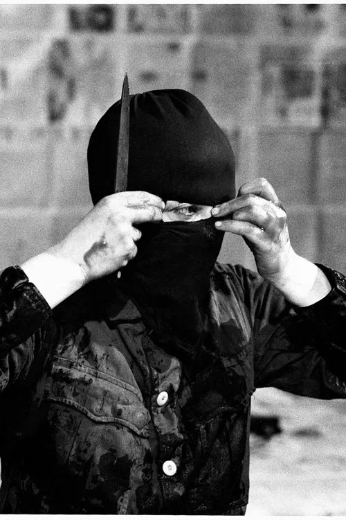 Variations On Discord and Divisions movie poster