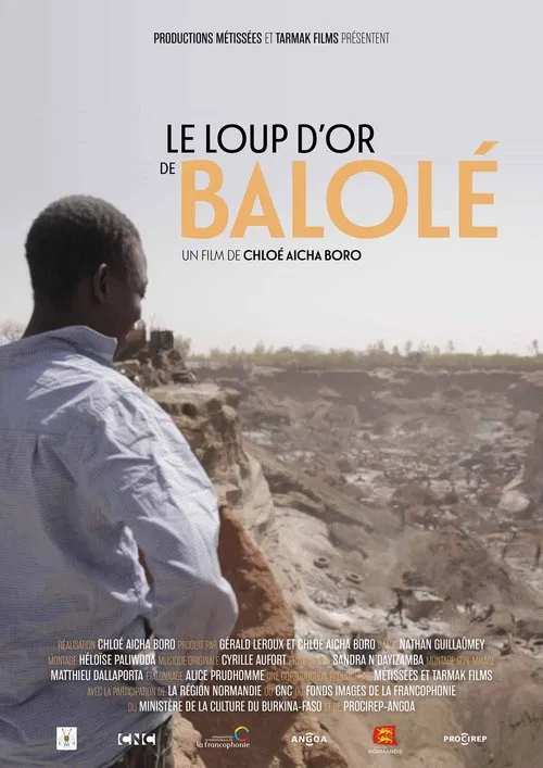 Le loup d'or de Balolé movie poster