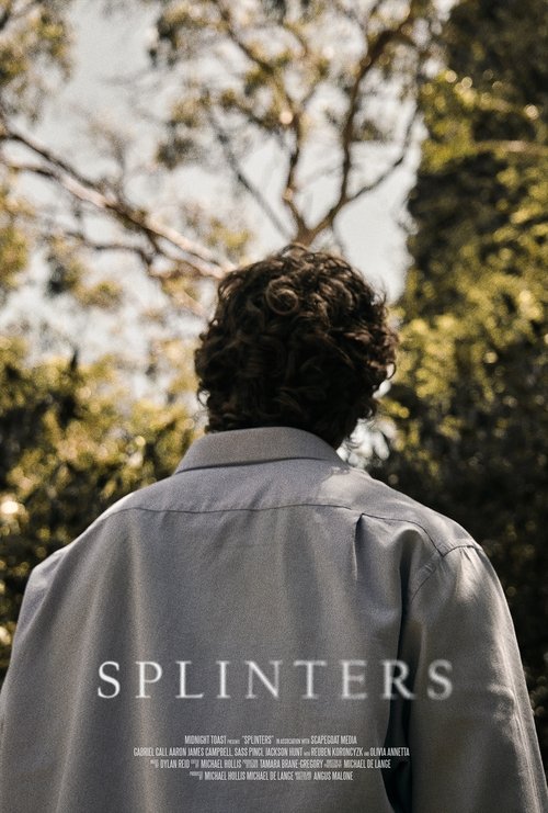 Splinters movie poster