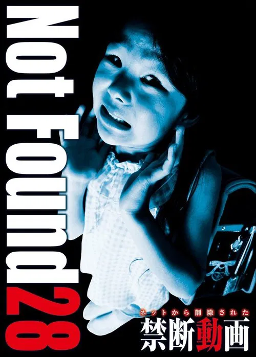 Not Found 28 movie poster