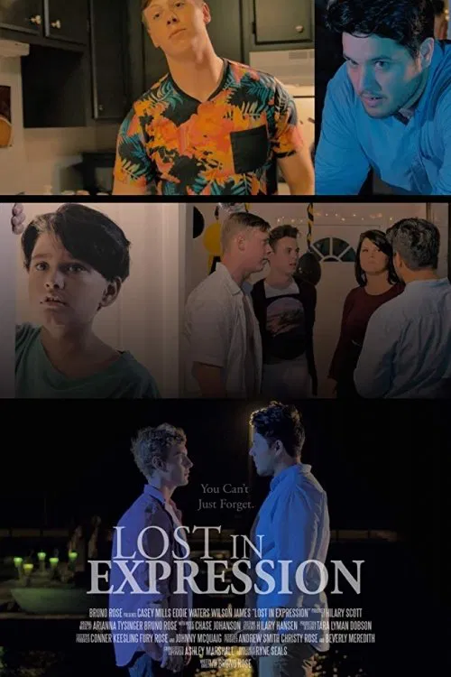 Lost in Expression movie poster