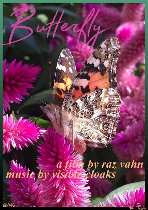 Butterfly movie poster