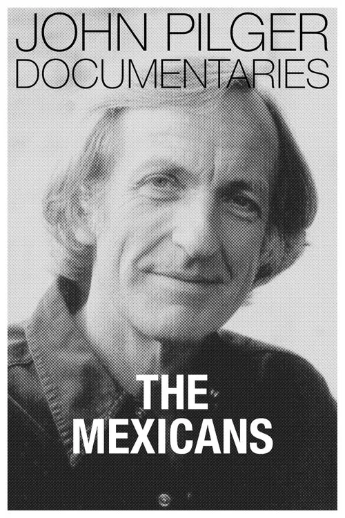 The Mexicans movie poster