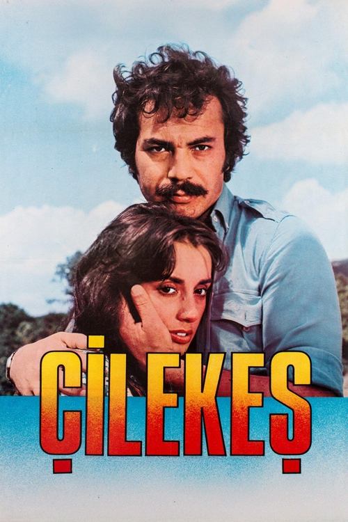 Çilekeş movie poster