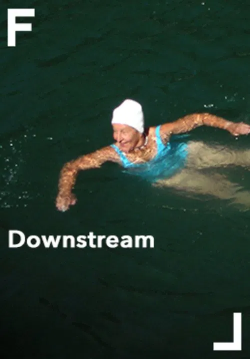 Downstream movie poster