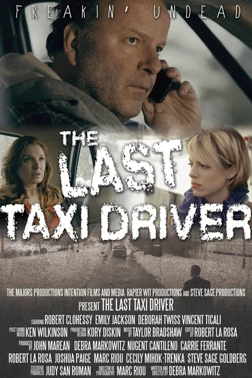 The Last Taxi Driver movie poster