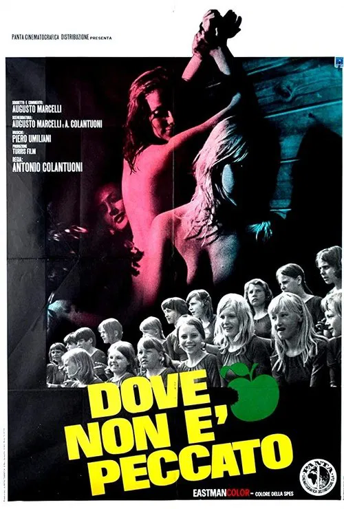 Dove non è peccato movie poster