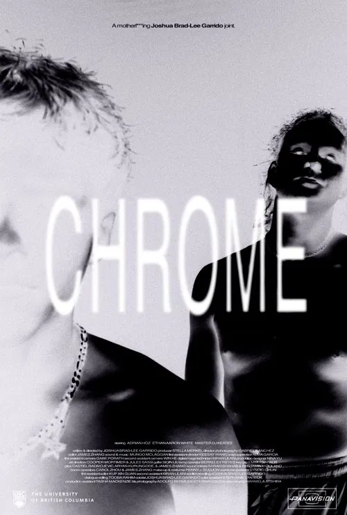 Chrome movie poster