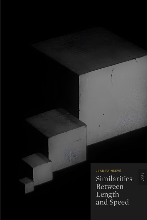 Similarities Between Length and Speed movie poster