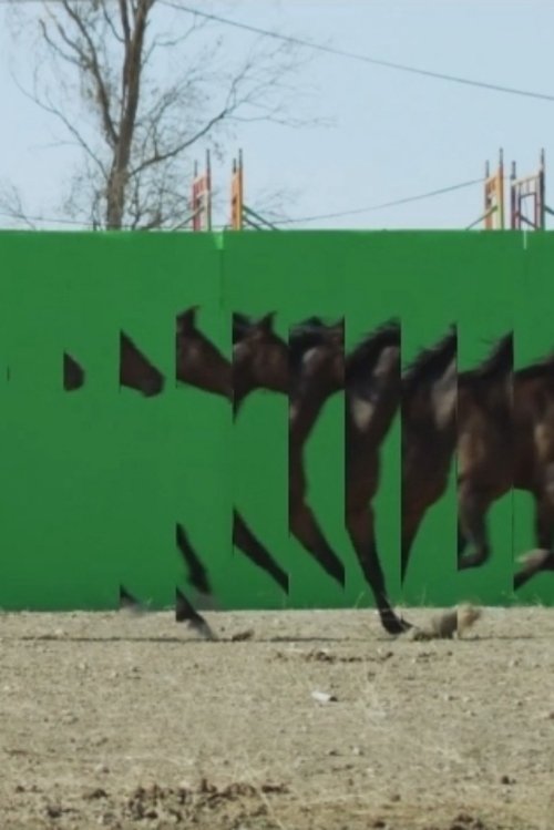 Playgrounds In Motion movie poster