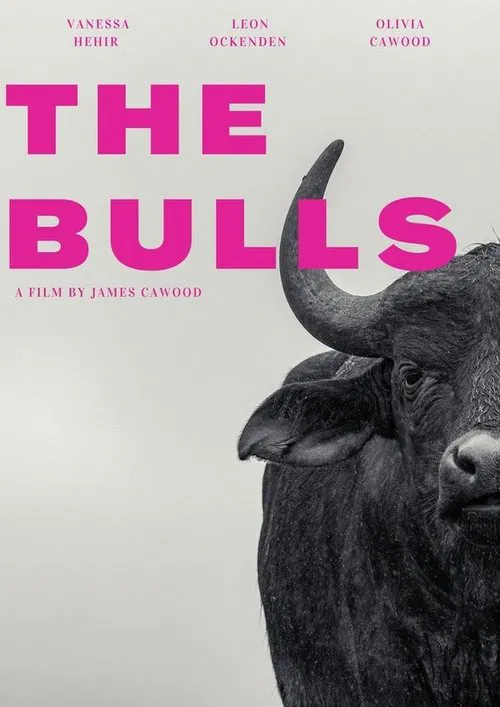 Poster do filme The Bulls