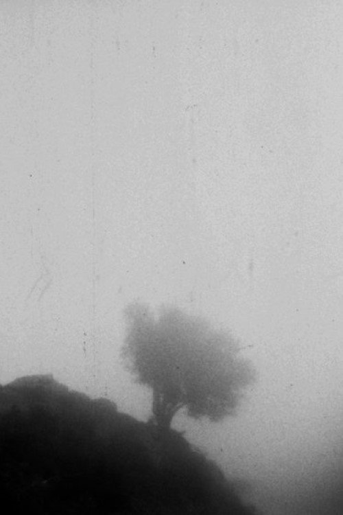 Only If You Could See a View Above the Clouds movie poster