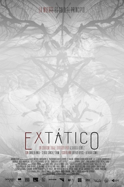 Extático movie poster