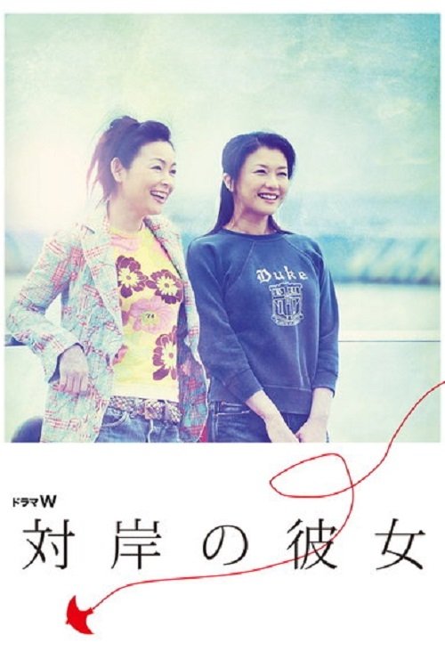 The Woman Opposite movie poster