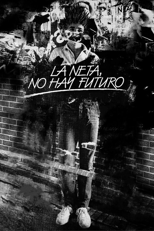 In Fact, There is not Future movie poster