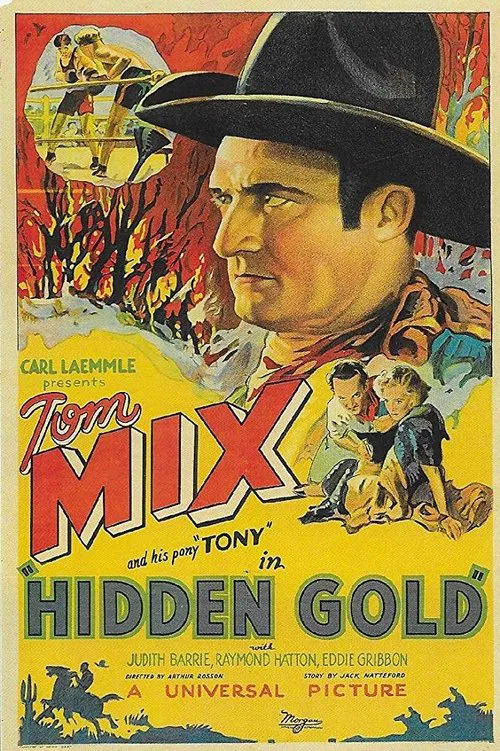Hidden Gold movie poster
