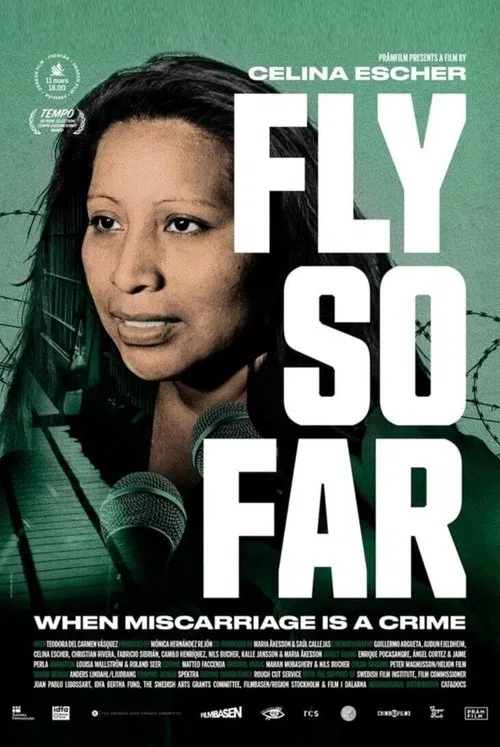 Fly So Far movie poster