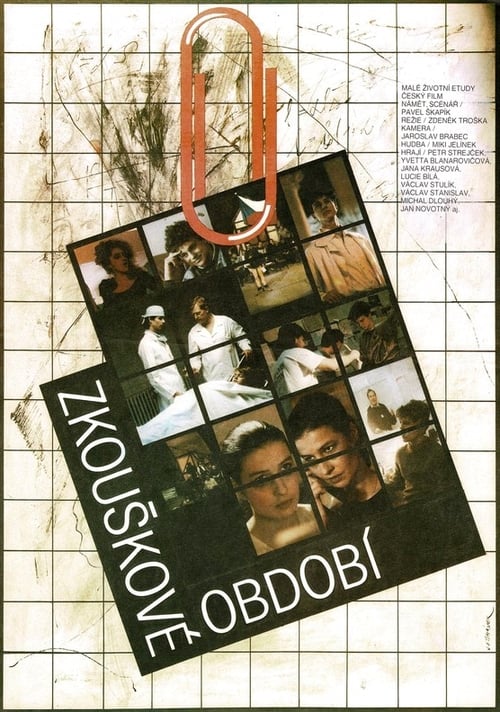 The Period of Examinations movie poster
