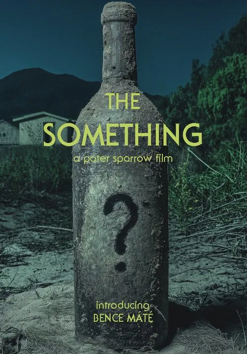 The Something movie poster