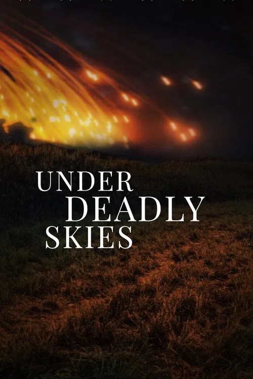 Under Deadly Skies: Ukraine's Eastern Front movie poster