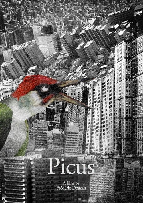 Picus movie poster