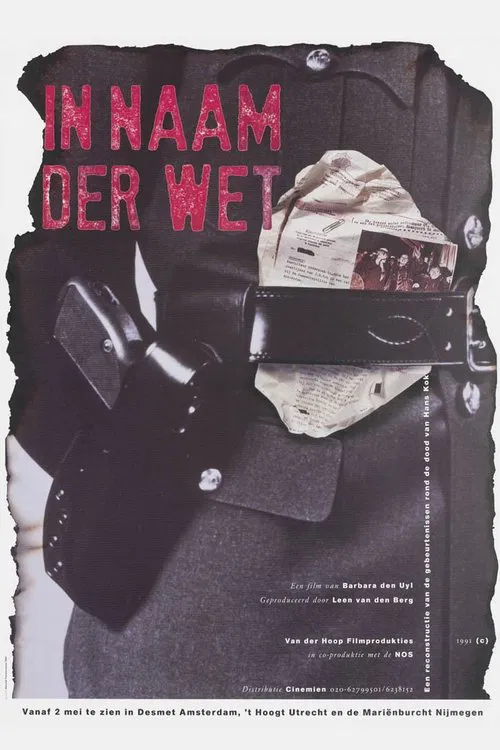 In the Name of the Law movie poster