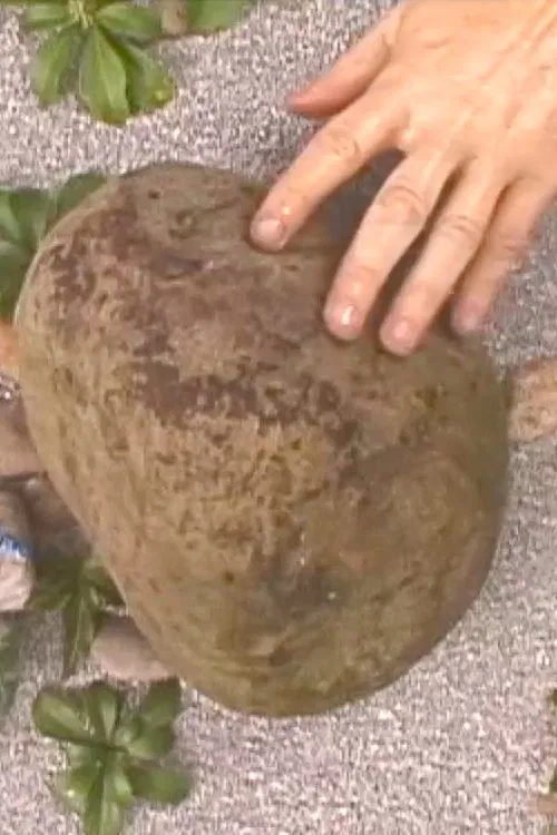 Touchstone movie poster