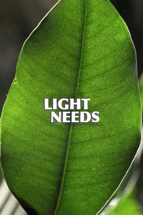 Light Needs movie poster