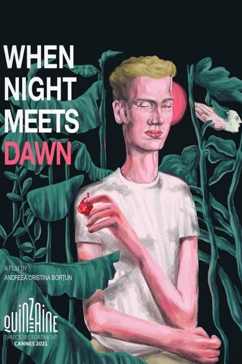 When Night Meets Dawn movie poster